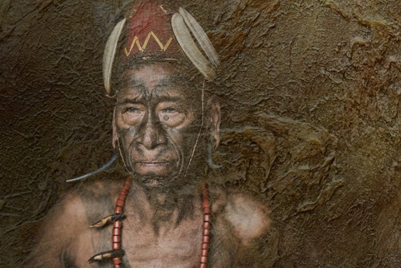 Time-Traveling Safaris